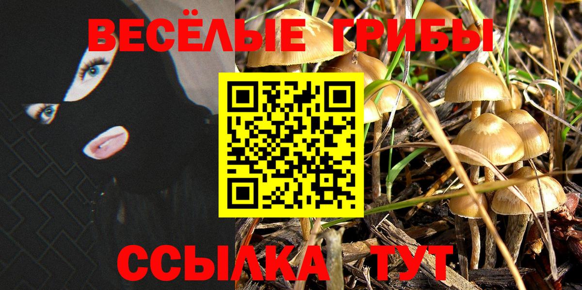 Краснокамск  Alpha-PVP СК кристаллы  Канабис  МЕФ   Cocaine  ГАШ  Вход с VPN  Мефедрон 