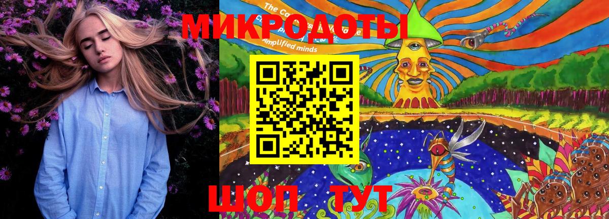 Галлюциногенные грибы Psilocybine cubensis Краснокамск